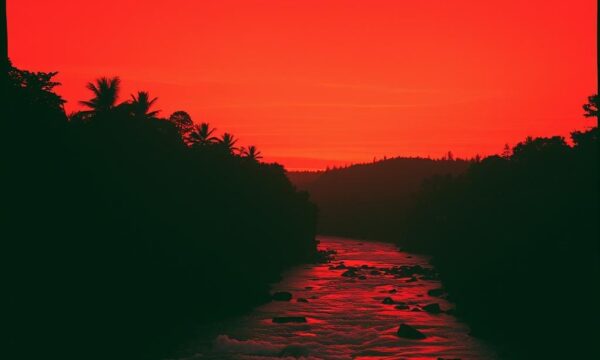 album art 2 album art 2